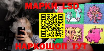 гидра Заводоуковск