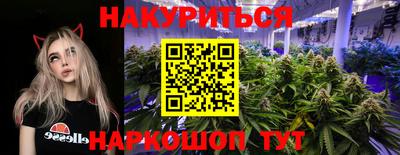 гидра Заводоуковск