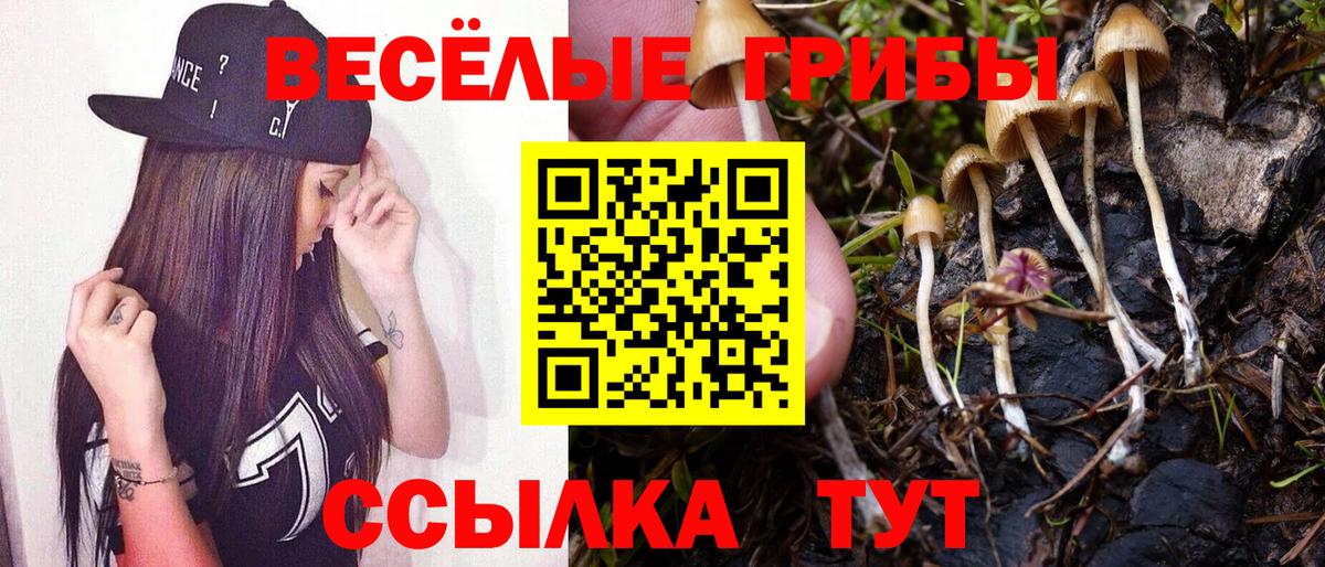 Меф мяу мяу Минеральные Воды