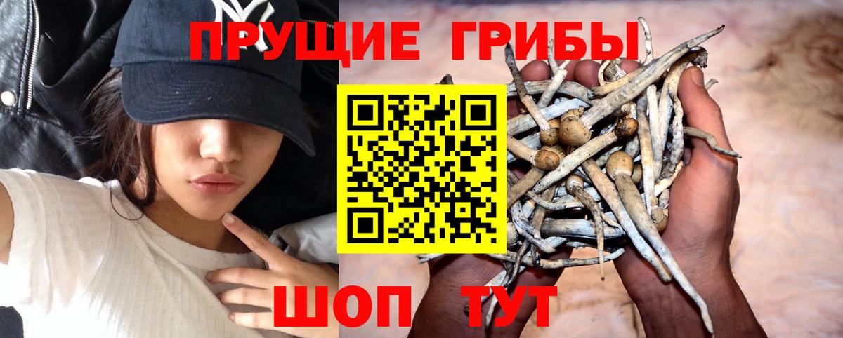 Галлюциногенные грибы ЛСД  Вход с VPN  купить  цена  Минеральные Воды 